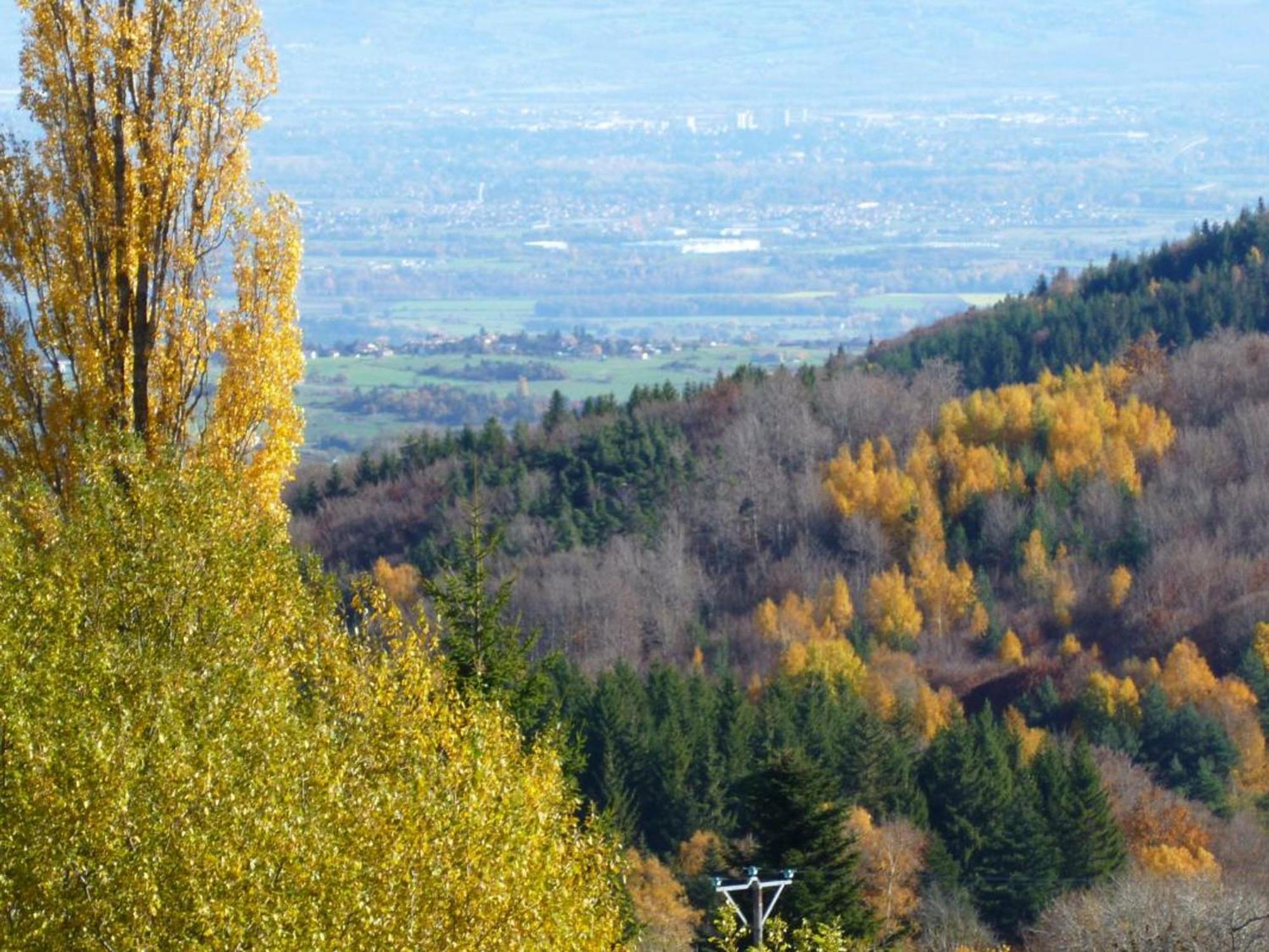 Charmant Gite Avec Terrasse, Cheminee Et Jardin, A Proximite Des Bois, Animaux Acceptes - Fr-1-496-205 Saint-Jean-Soleymieux Екстер'єр фото