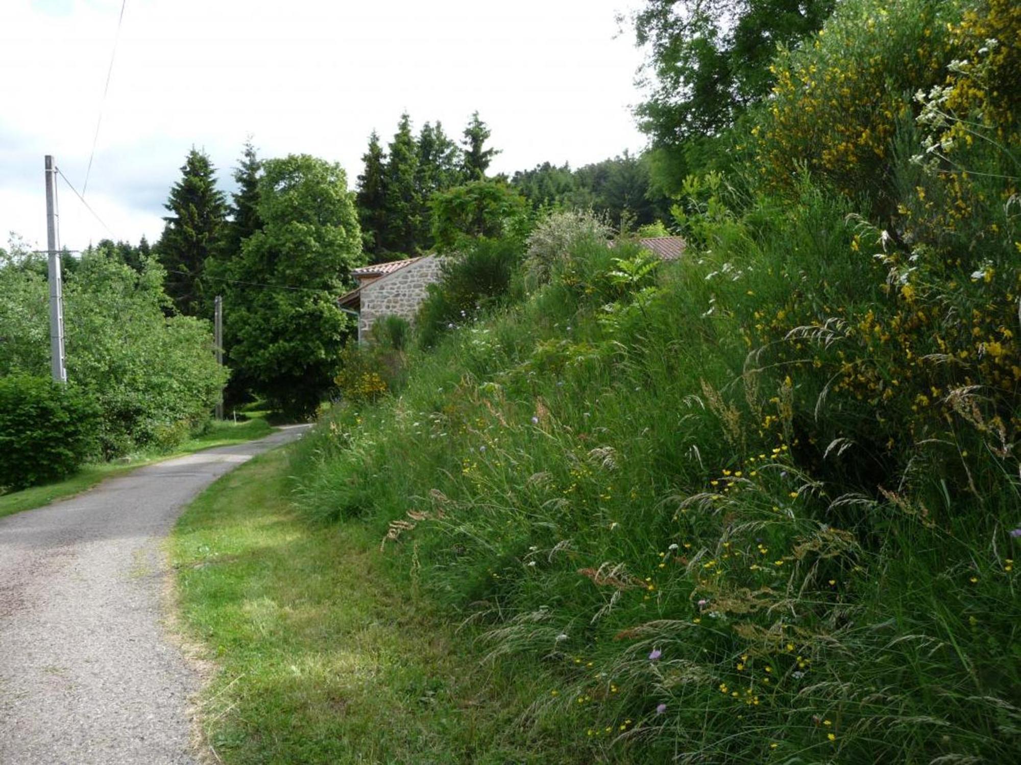 Charmant Gite Avec Terrasse, Cheminee Et Jardin, A Proximite Des Bois, Animaux Acceptes - Fr-1-496-205 Saint-Jean-Soleymieux Екстер'єр фото